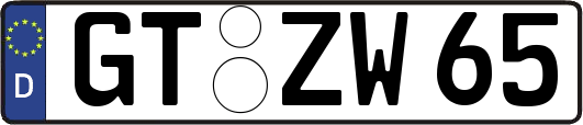 GT-ZW65