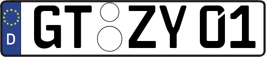 GT-ZY01