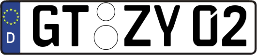 GT-ZY02