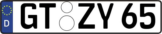 GT-ZY65