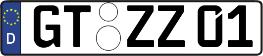 GT-ZZ01