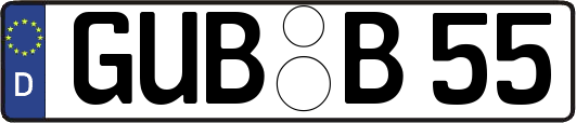GUB-B55