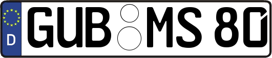 GUB-MS80