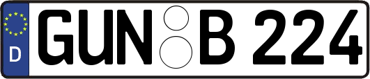 GUN-B224