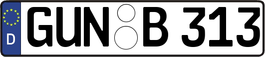GUN-B313