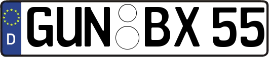 GUN-BX55