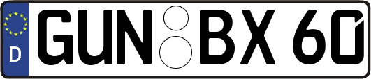 GUN-BX60