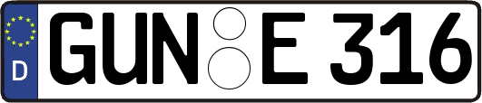 GUN-E316
