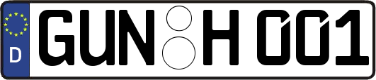 GUN-H001