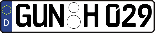 GUN-H029