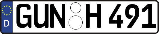 GUN-H491