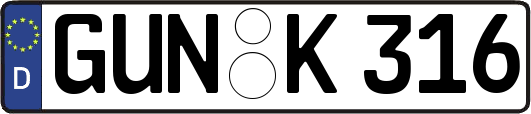 GUN-K316