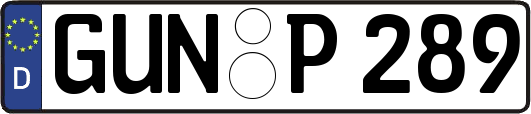 GUN-P289