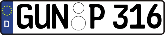 GUN-P316