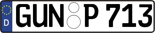 GUN-P713