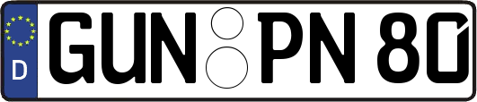 GUN-PN80