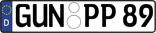 GUN-PP89