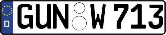 GUN-W713