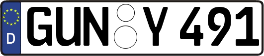 GUN-Y491