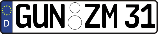 GUN-ZM31