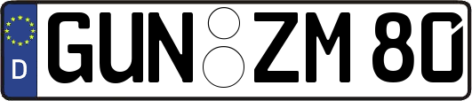 GUN-ZM80