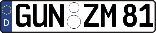 GUN-ZM81