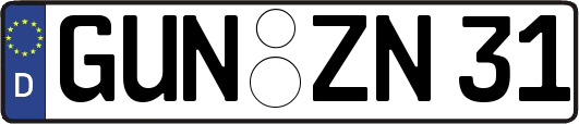 GUN-ZN31