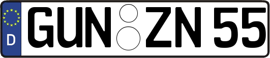 GUN-ZN55