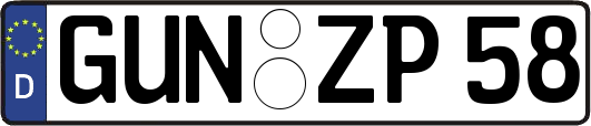 GUN-ZP58