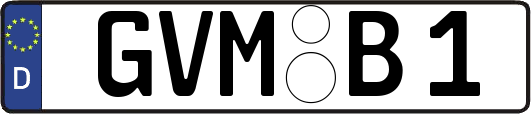 GVM-B1