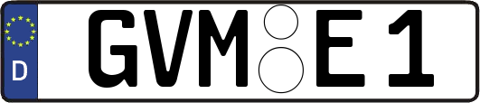 GVM-E1