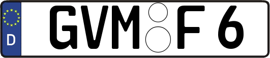 GVM-F6