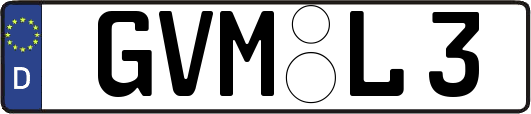 GVM-L3