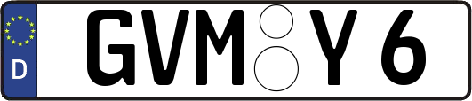 GVM-Y6