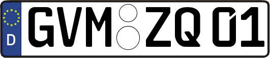 GVM-ZQ01