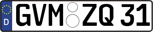 GVM-ZQ31
