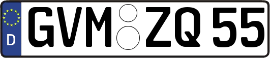 GVM-ZQ55