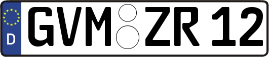GVM-ZR12