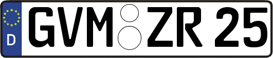 GVM-ZR25