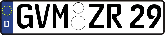 GVM-ZR29