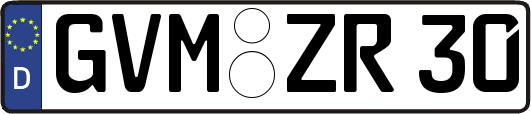 GVM-ZR30