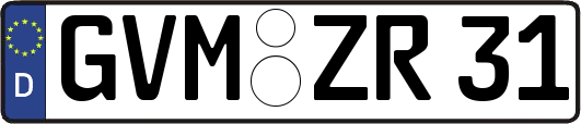 GVM-ZR31