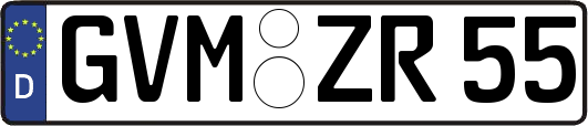GVM-ZR55