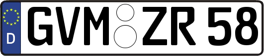 GVM-ZR58
