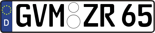 GVM-ZR65