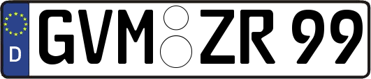 GVM-ZR99