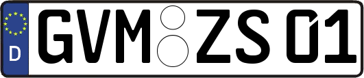 GVM-ZS01