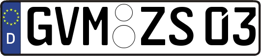 GVM-ZS03