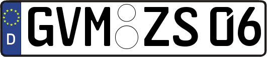 GVM-ZS06