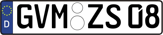GVM-ZS08